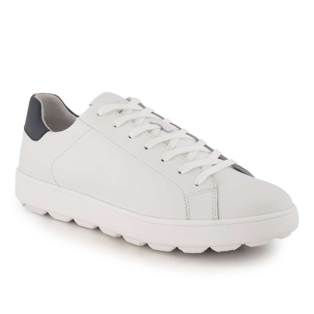 Geox, Sneaker Geox, Sneaker von Geox