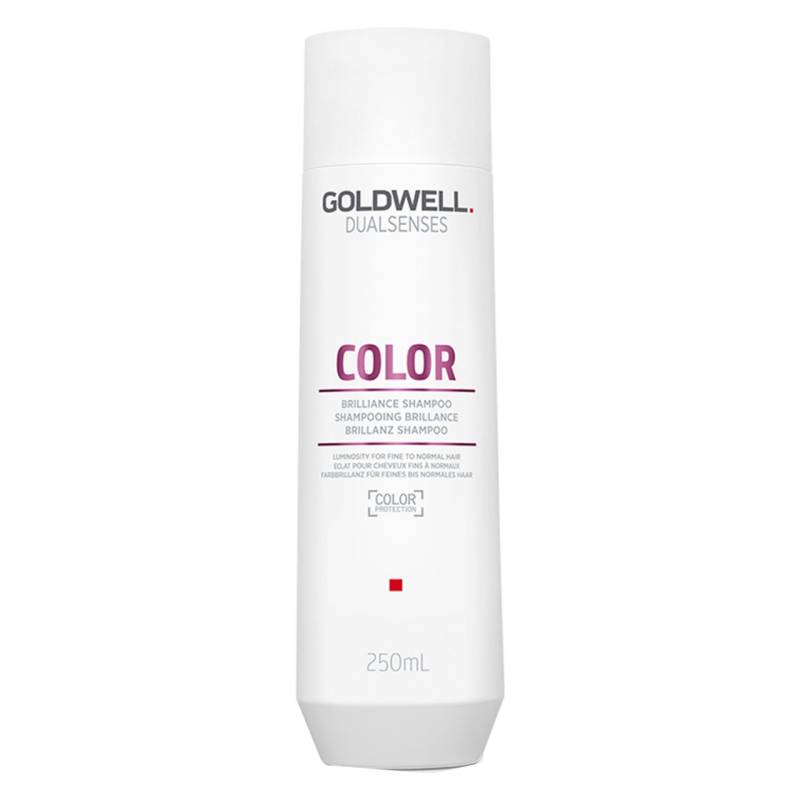 Dualsenses Color - Brilliance Shampoo von Goldwell