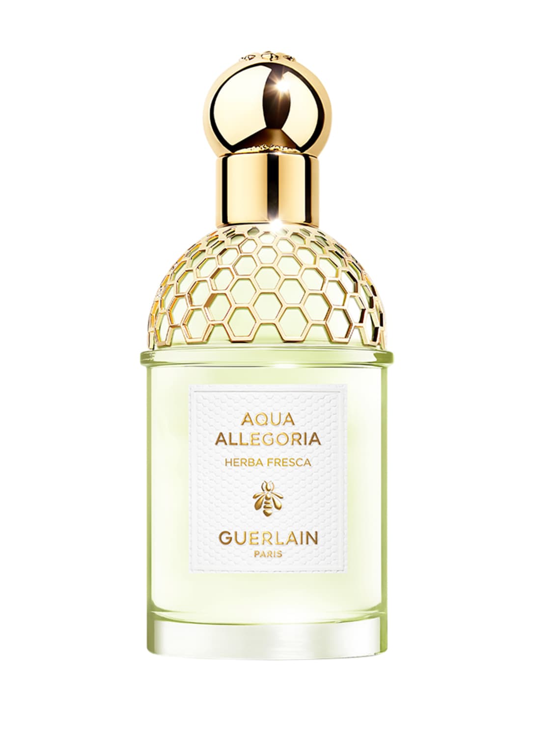 Guerlain Aqua Allegoria Herba Fresca Eau de Toilette 75 ml Guerlain Aqua Allegoria Herba Fresca Eau de Toilette 75 ml von Guerlain