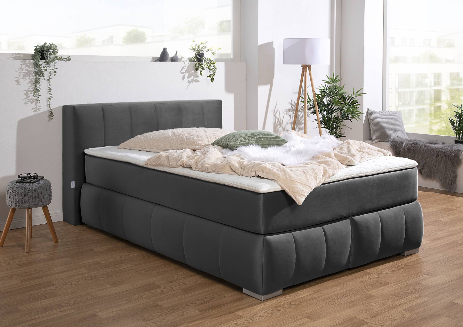 Guido Maria Kretschmer Home&Living Boxspringbett »Chelles«, inkl. Kaltschaumtopper, in 5 Breiten und 3 Matratzenarten Guido Maria Kretschmer Home&Living Boxspringbett »Chelles«, inkl. Kaltschaumtopper, in 5 Breiten und 3 Matratzenarten von Guido Maria Kretschmer Home&Living