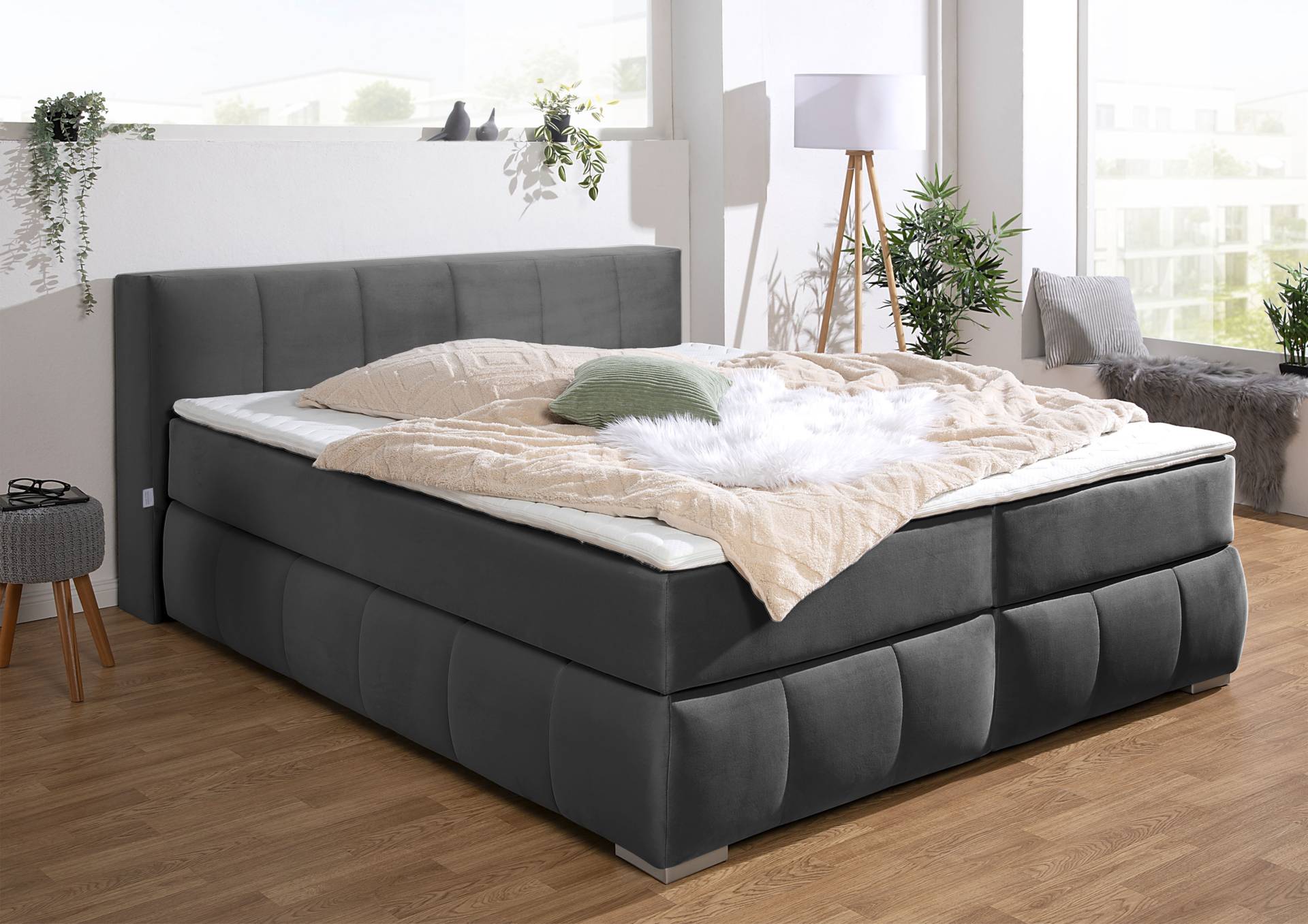 Guido Maria Kretschmer Home&Living Boxspringbett »Chelles«, inkl. Topper, in XXL- Überlänge 220 cm, Unterbox mit feine Wölbung von Guido Maria Kretschmer Home&Living