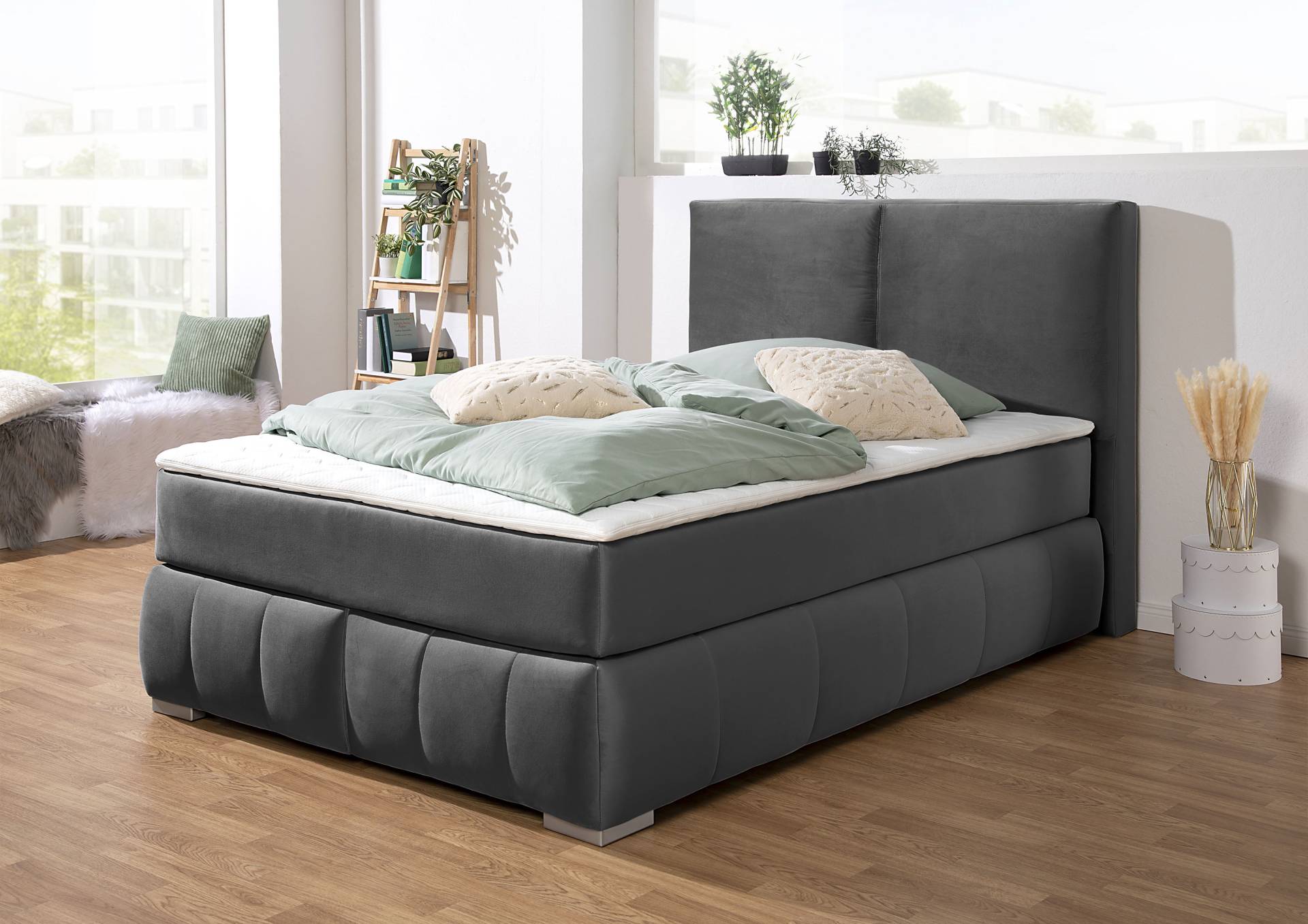 Guido Maria Kretschmer Home&Living Boxspringbett »Wehma«, inkl. Topper in 3 verschiedenen Matratzen, auch in Samtstoff Guido Maria Kretschmer Home&Living Boxspringbett »Wehma«, inkl. Topper in 3 verschiedenen Matratzen, auch in Samtstoff von Guido Maria Kretschmer Home&Living