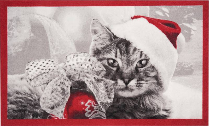 HANSE Home Fussmatte »Christmas Cat, Türmatte«, rechteckig, 7 mm Höhe, Tier Motiv, Pflegeleicht, Rutschfest, Weihnachten, Waschbar von HANSE Home