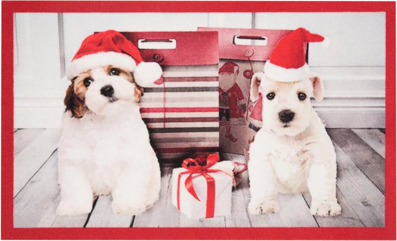 HANSE Home Fussmatte »Christmas Dogs, Türmatte«, rechteckig, 7 mm Höhe, Tier Motiv, Pflegeleicht, Rutschfest, Weihnachten, Waschbar von HANSE Home
