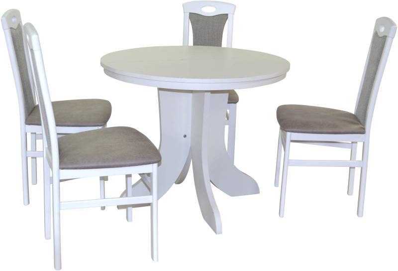 HOFMANN LIVING AND MORE Essgruppe »5tlg. Tischgruppe«, (Spar-Set, 5 tlg., 5tlg. Tischgruppe), Stühle montiert von HOFMANN LIVING AND MORE