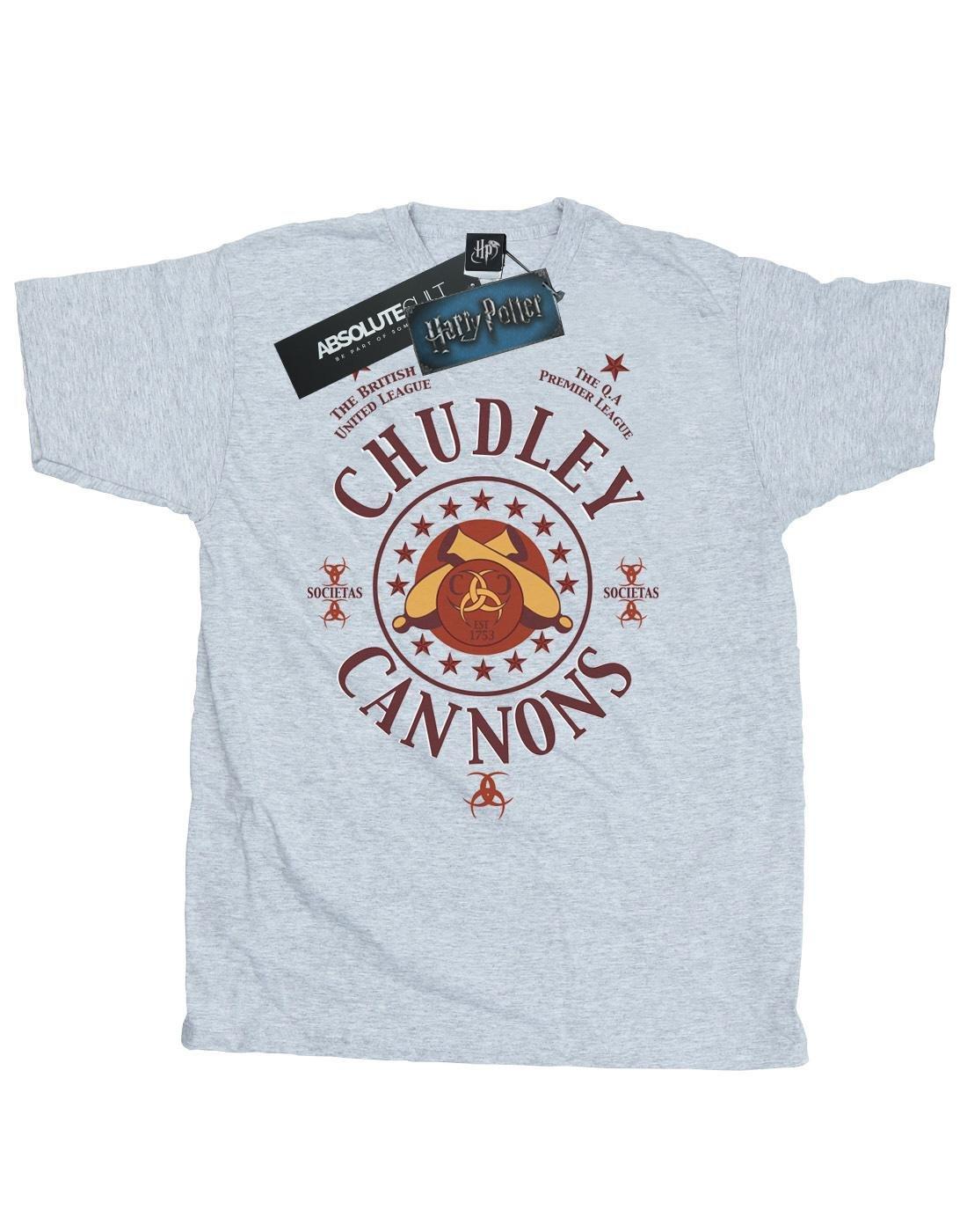 Chudley Cannons Logo Tshirt Herren Grau 3XL von Harry Potter