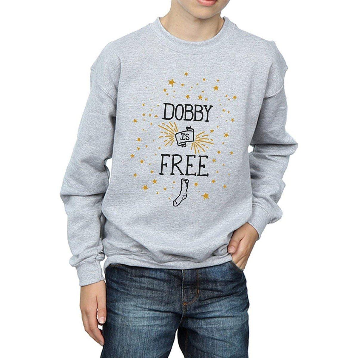 Dobby Is Free Sweatshirt Unisex Grau 128 von Harry Potter