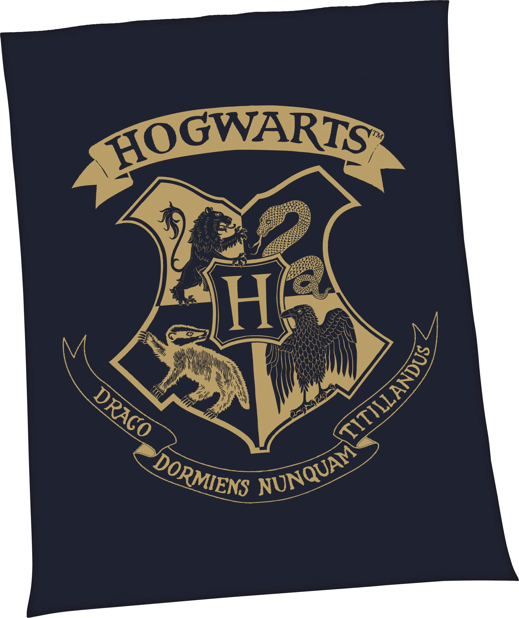 Harry Potter Wohndecke »Harry Potter«, mit tollem Harry Potter Motiv, Kuscheldecke Harry Potter Wohndecke »Harry Potter«, mit tollem Harry Potter Motiv, Kuscheldecke von Harry Potter