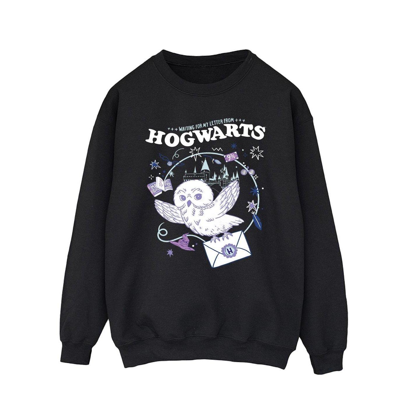 Owl Letter From Hogwarts Sweatshirt Herren Schwarz 3XL von Harry Potter
