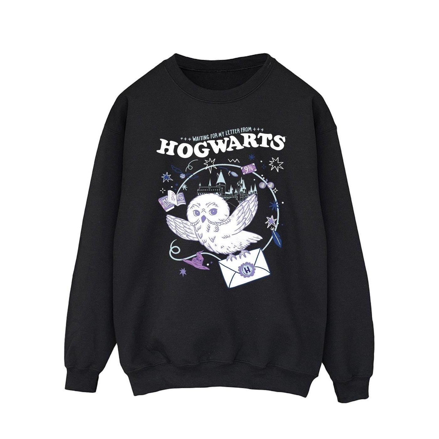 Owl Letter From Hogwarts Sweatshirt Herren Schwarz S von Harry Potter