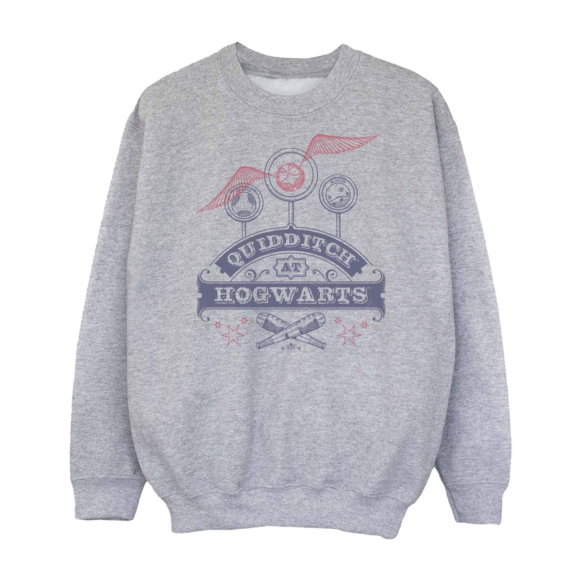 Quidditch At Hogwarts Sweatshirt Mädchen Grau 152-158 von Harry Potter