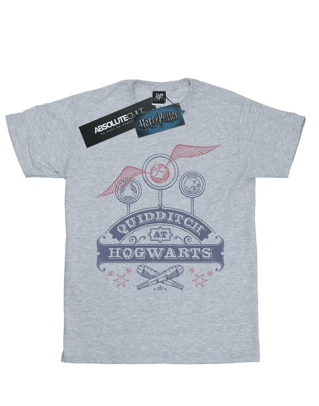 Quidditch At Hogwarts Tshirt Herren Grau 3XL von Harry Potter