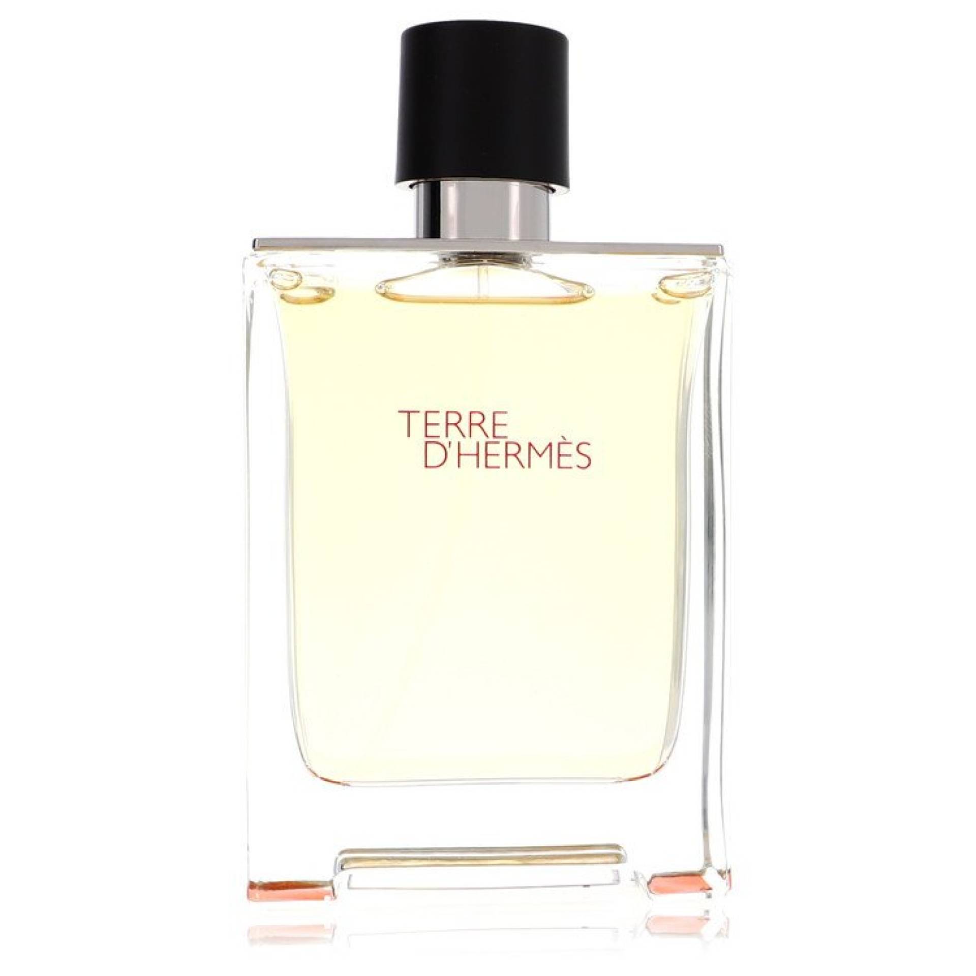 Hermes Terre D' Eau De Toilette Spray (unboxed) 100 ml von Hermes