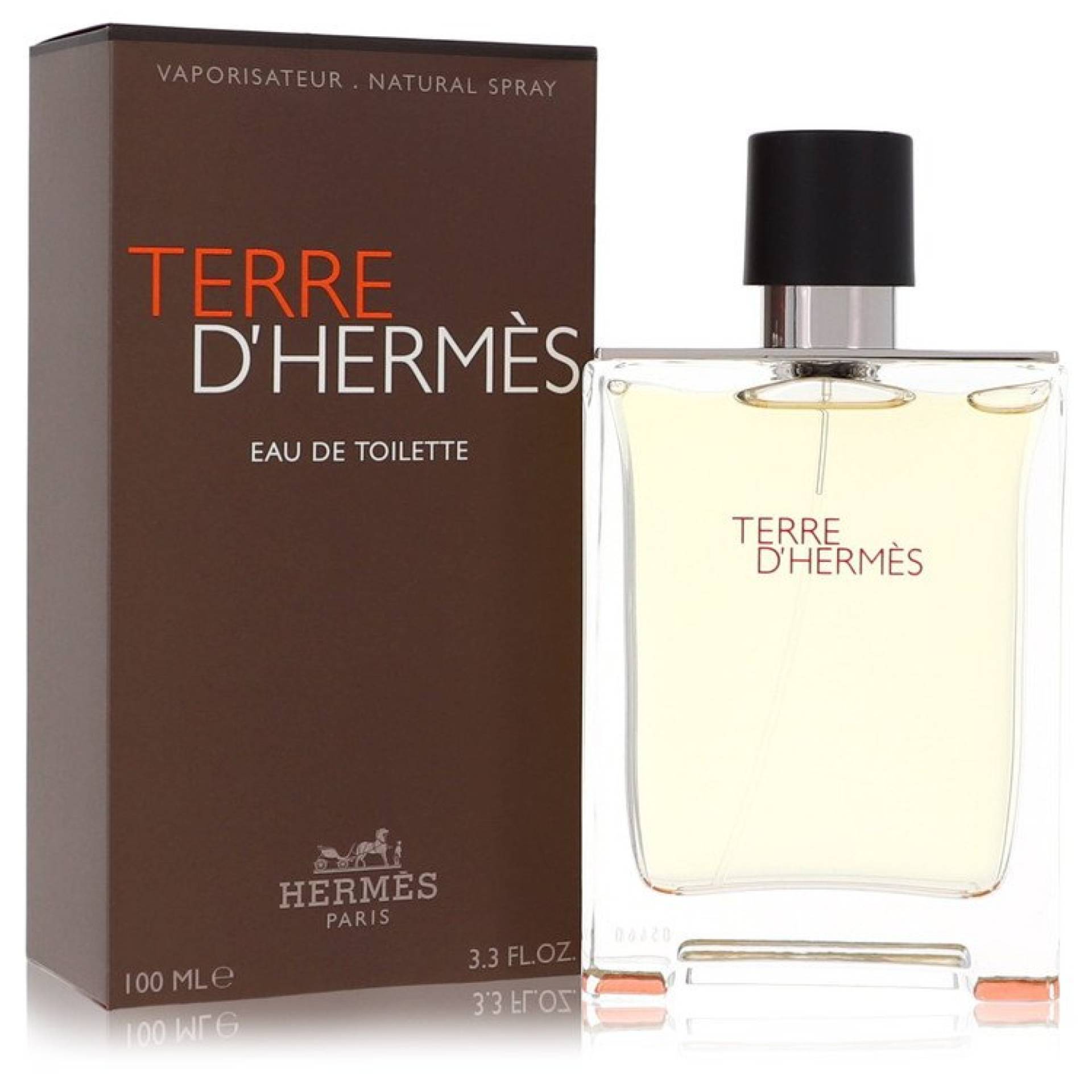 Hermes Terre D' Eau De Toilette Spray 100 ml von Hermes
