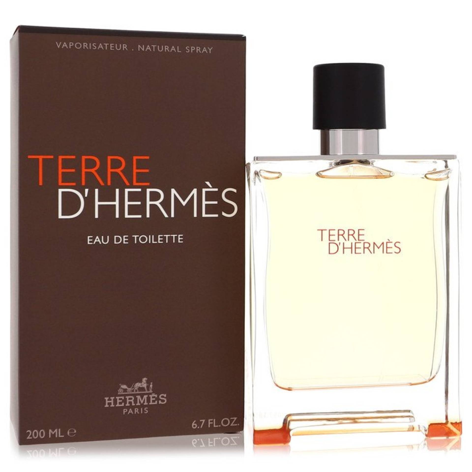 Hermes Terre D' Eau De Toilette Spray 200 ml