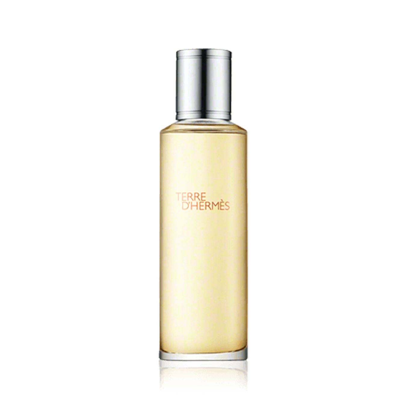 Hermès Terre d'Hermès Eau de Toilette Refill 125ml Herren von Hermès