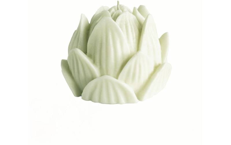 Herzog Kerzen AG Formkerze »Kerze Lotus 45057 x 45055 cm, Salbei«, Herstellungsort CH von Herzog Kerzen AG