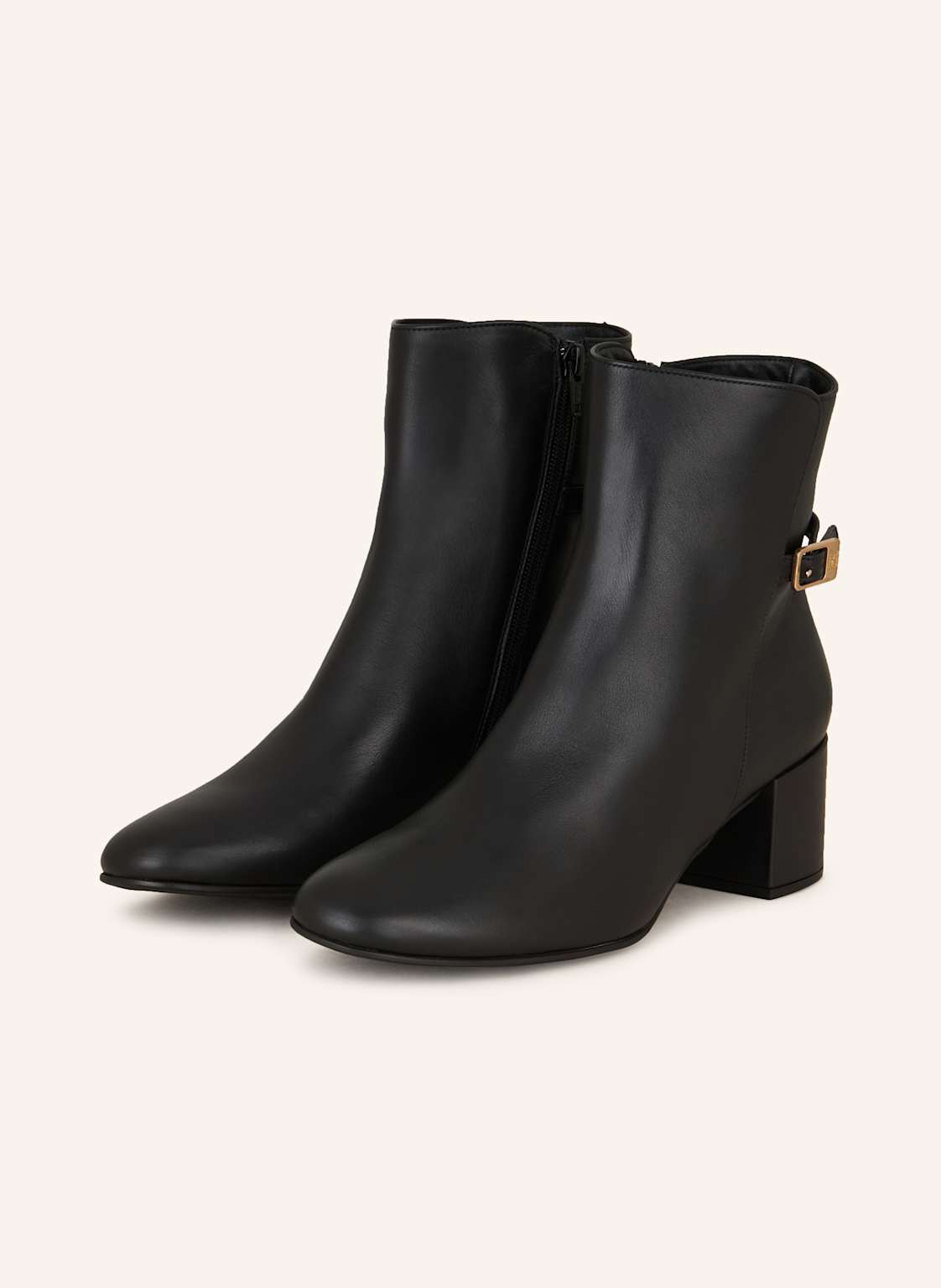 Högl Stiefeletten schwarz Högl Stiefeletten schwarz von Högl