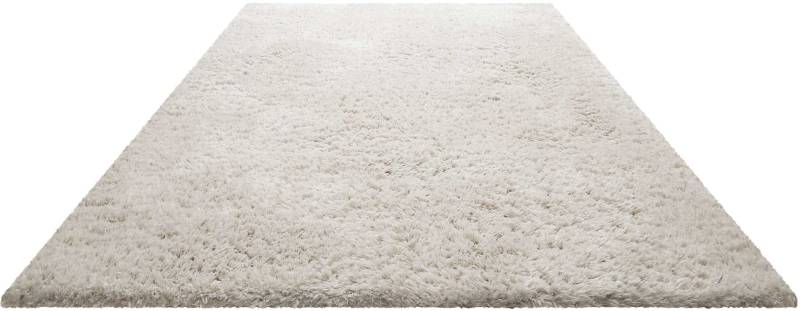 Homie Living Hochflor-Teppich »Matteo HL-0961«, rechteckig, 50 mm Höhe, nachhaltig aus 100% recyceltem PET, Langflor, Shaggy, Wohnzimmer von Homie Living