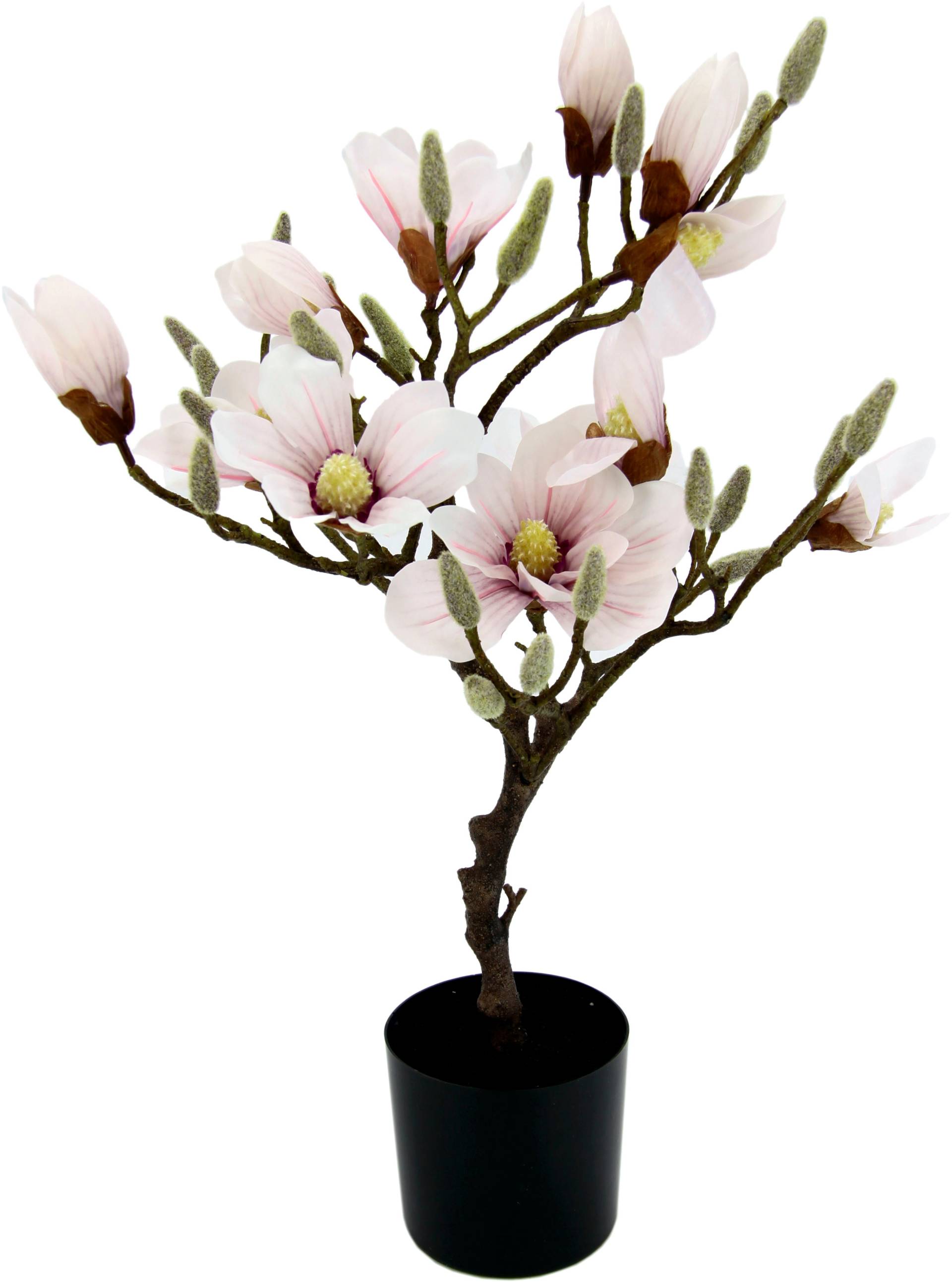 I.GE.A. Kunstbaum »Magnolienbaum« von I.GE.A.