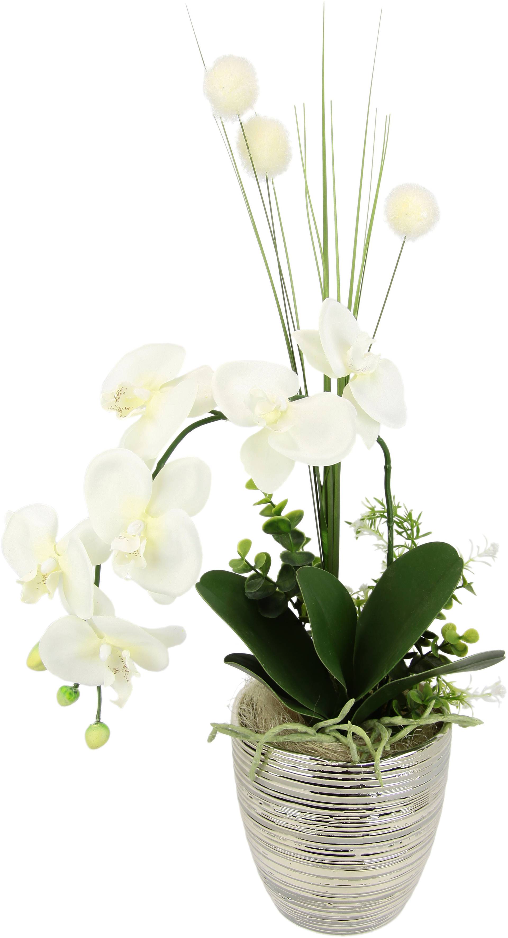 I.GE.A. Kunstblume »Arrangement Orchidee/Gras« von I.GE.A.