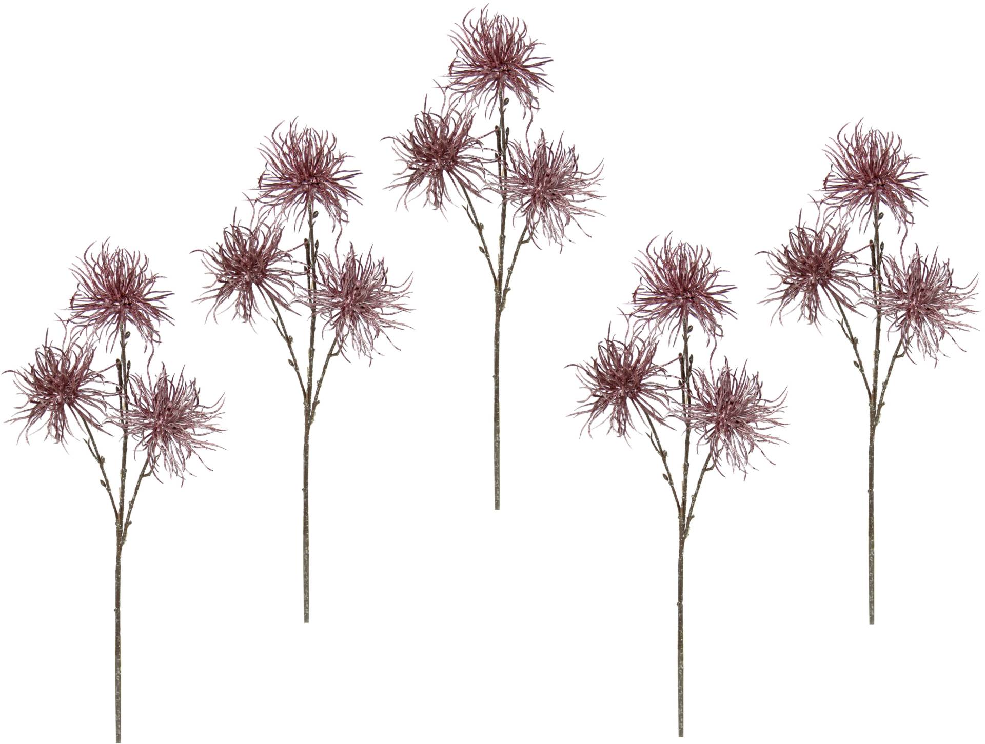 I.GE.A. Kunstblume »Distel«, Metallic-Distelzweig, Kunstzweige, 5er Set von I.GE.A.