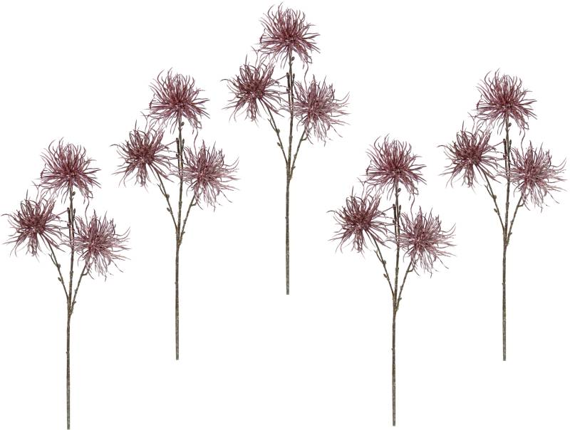 I.GE.A. Kunstblume »Distel«, Metallic-Distelzweig, Kunstzweige, 5er Set von I.GE.A.