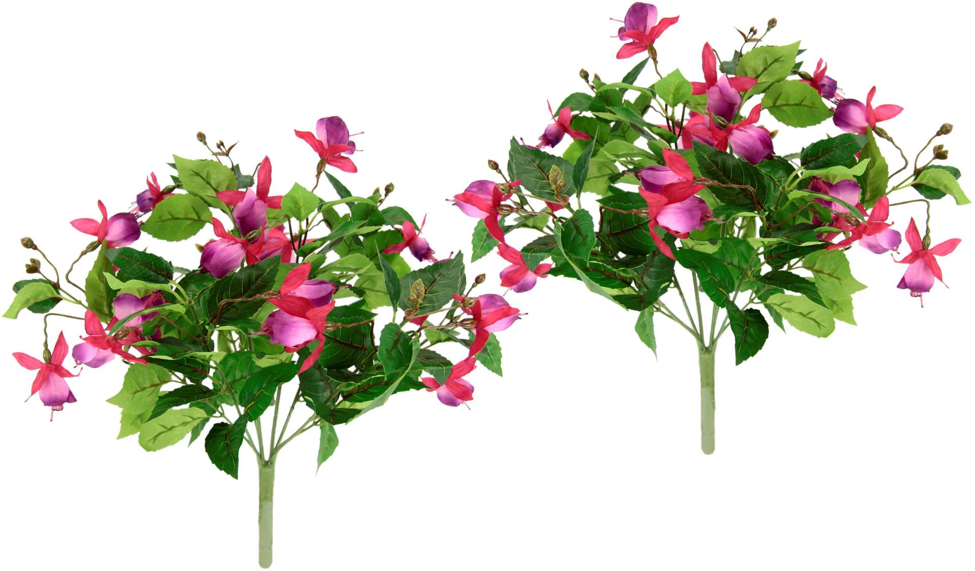 I.GE.A. Kunstblume »Fuchsienbusch«, 2er Set Zimmerpflanze Deko Doppelblütenblätter Topfpflanze Hybrid Hort I.GE.A. Kunstblume »Fuchsienbusch«, 2er Set Zimmerpflanze Deko Doppelblütenblätter Topfpflanze Hybrid Hort von I.GE.A.