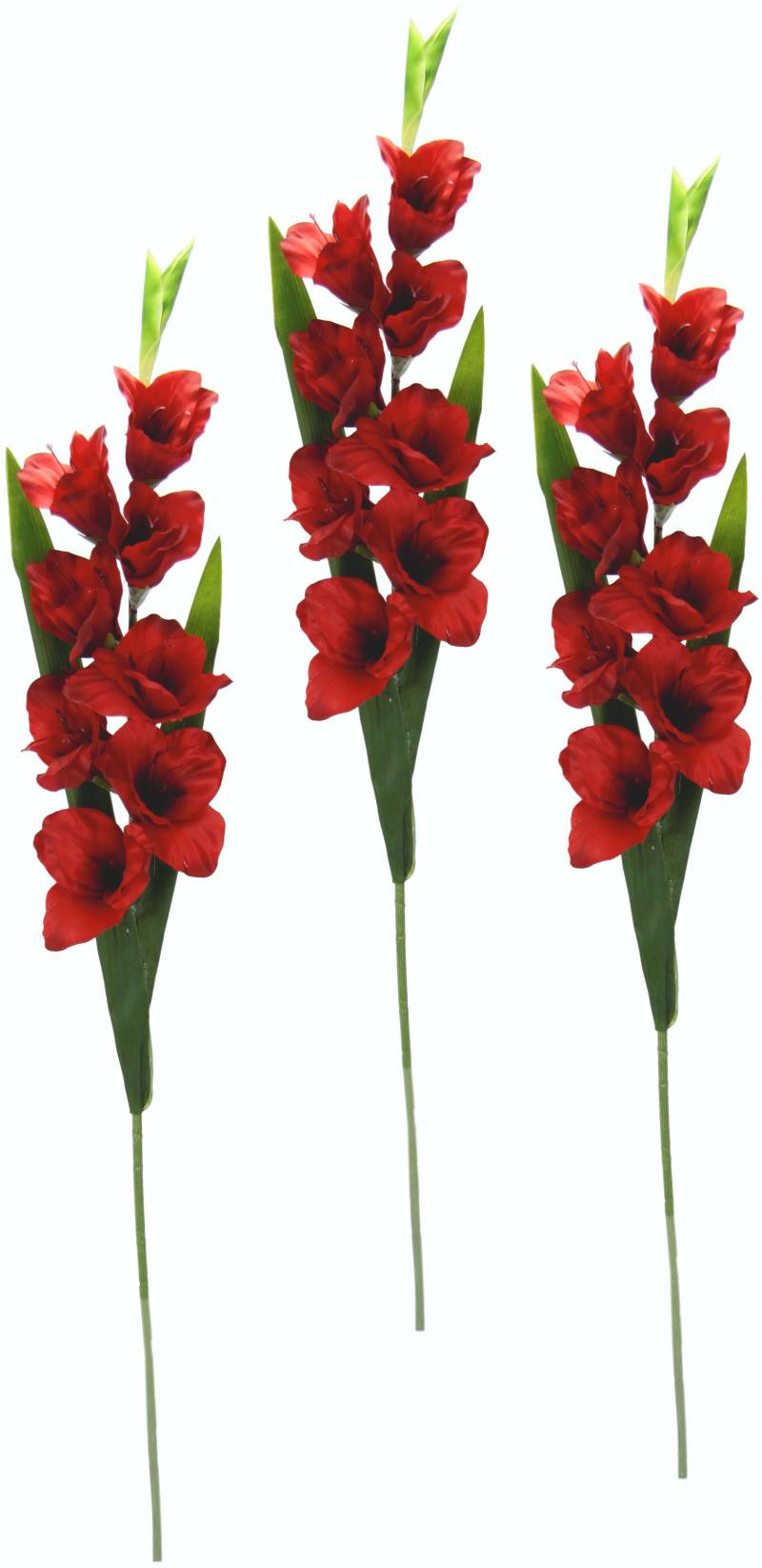 I.GE.A. Kunstblume »Gladiole«, 3er Set von I.GE.A.