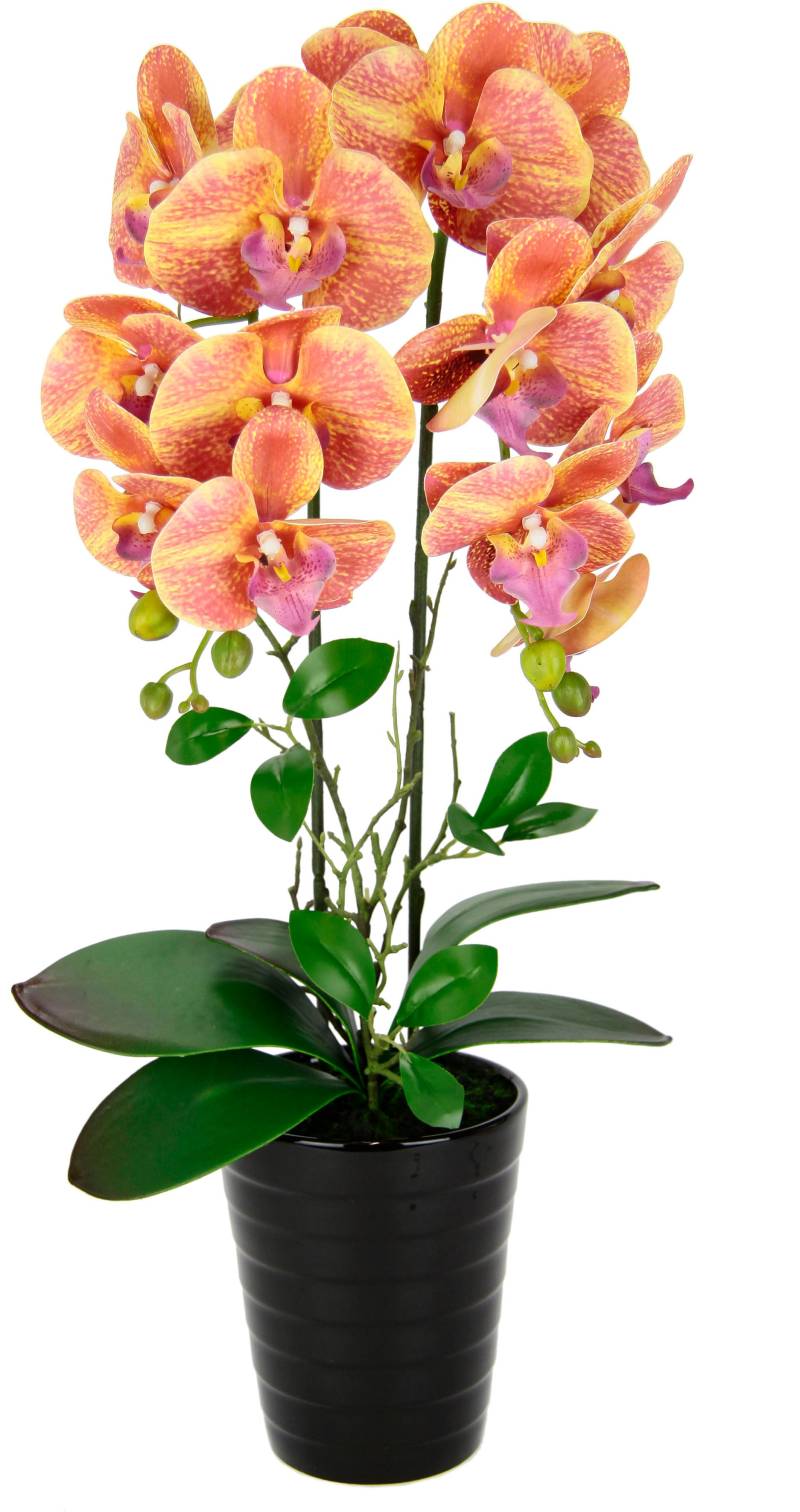 I.GE.A. Kunstblume »Orchidee«, Im Topf Phalaenopsis Orchidee Phalaenopsis mit Übertopf Hochzeit von I.GE.A.