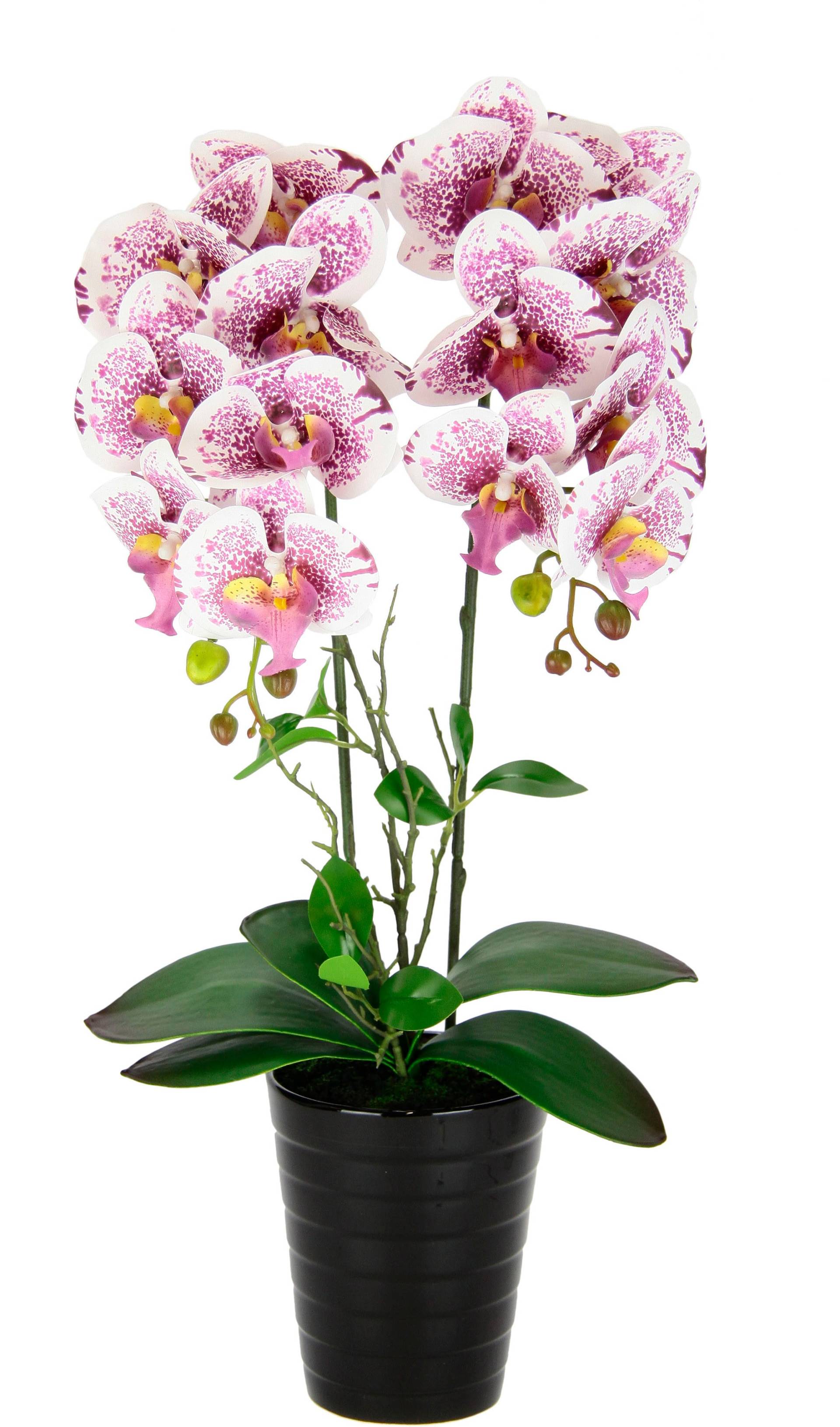 I.GE.A. Kunstblume »Orchidee« von I.GE.A.