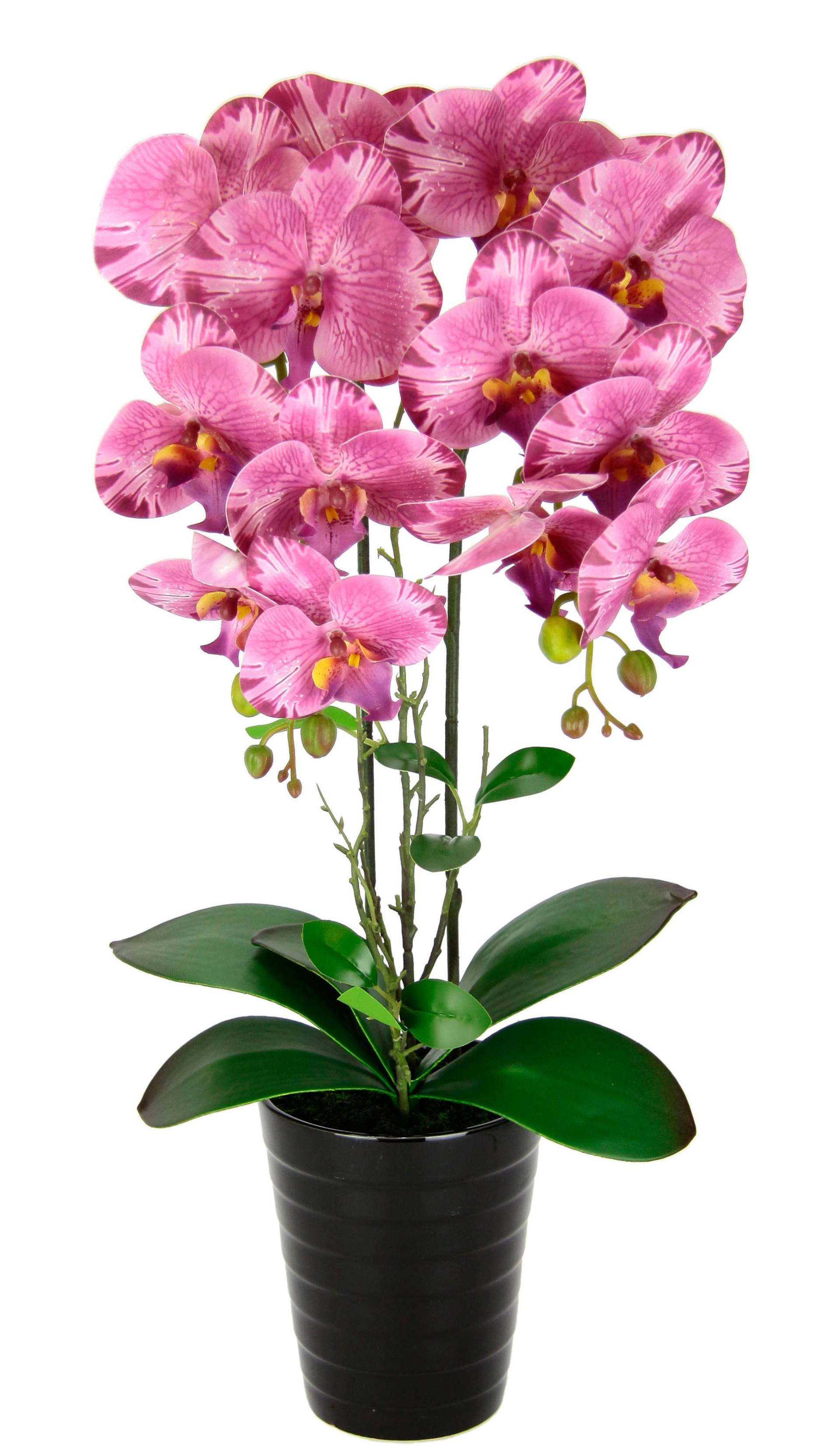 I.GE.A. Kunstblume »Orchidee« von I.GE.A.