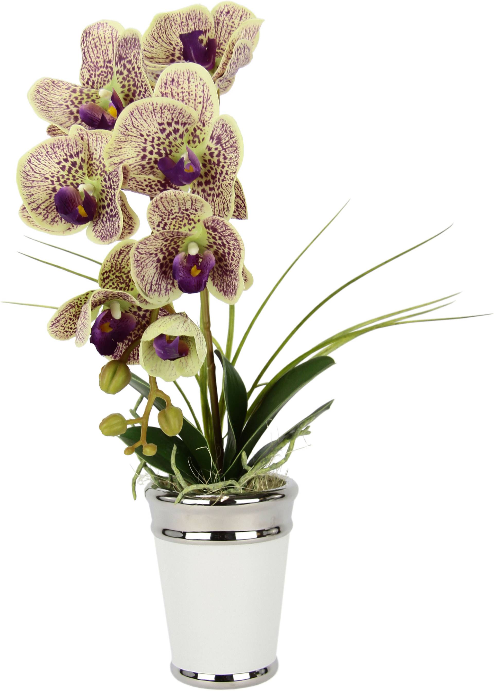 I.GE.A. Kunstblume »Orchidee« von I.GE.A.