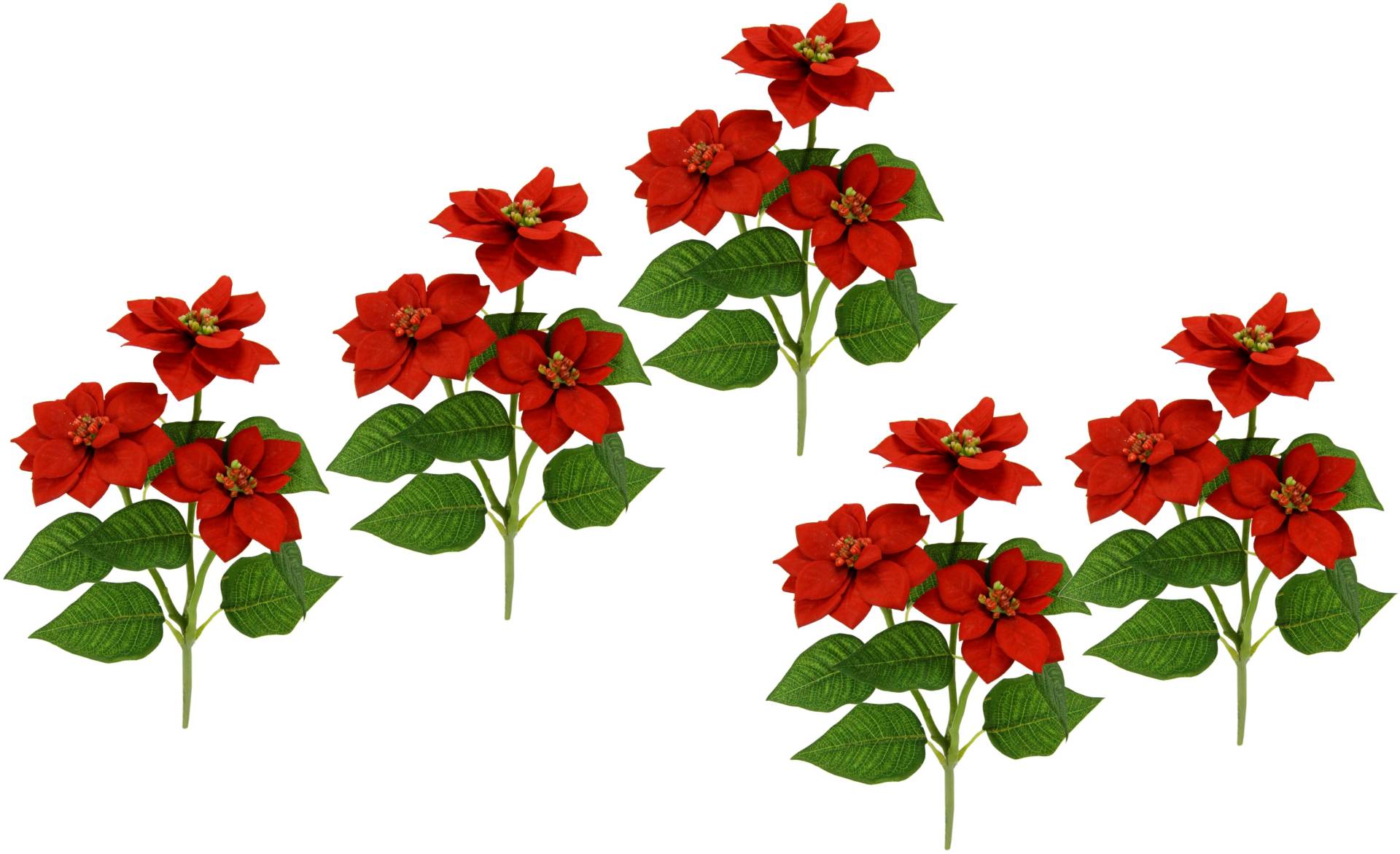 I.GE.A. Kunstblume »Poinsettie« von I.GE.A.