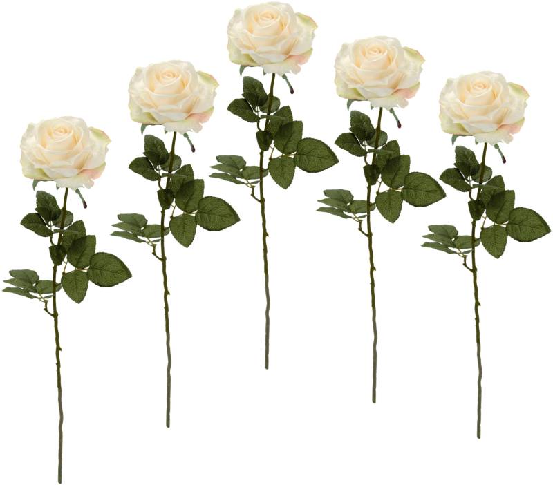 I.GE.A. Kunstblume »Rose«, 5er Set von I.GE.A.