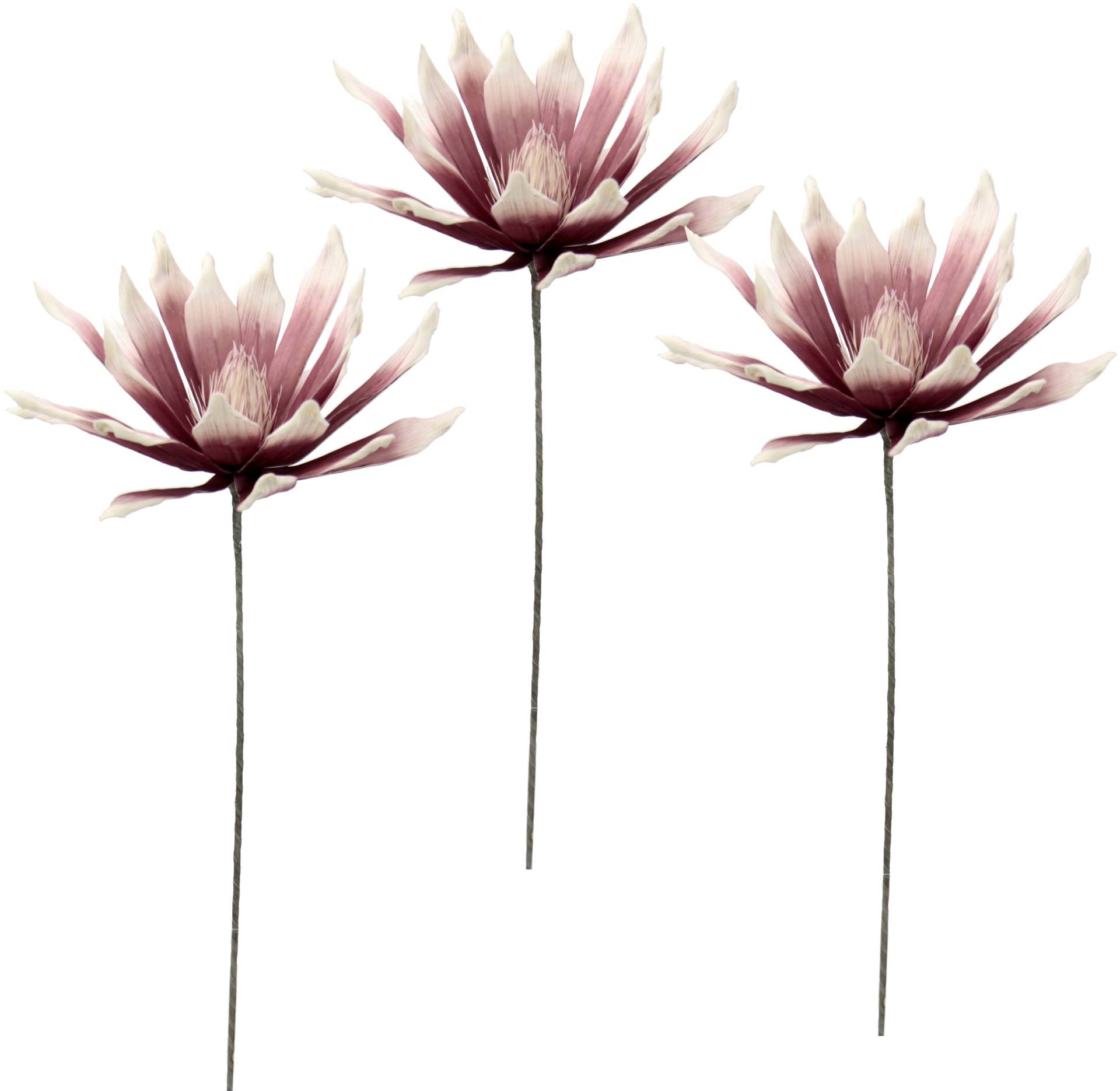 I.GE.A. Kunstblume »Soft-Protea«, 3er Set von I.GE.A.
