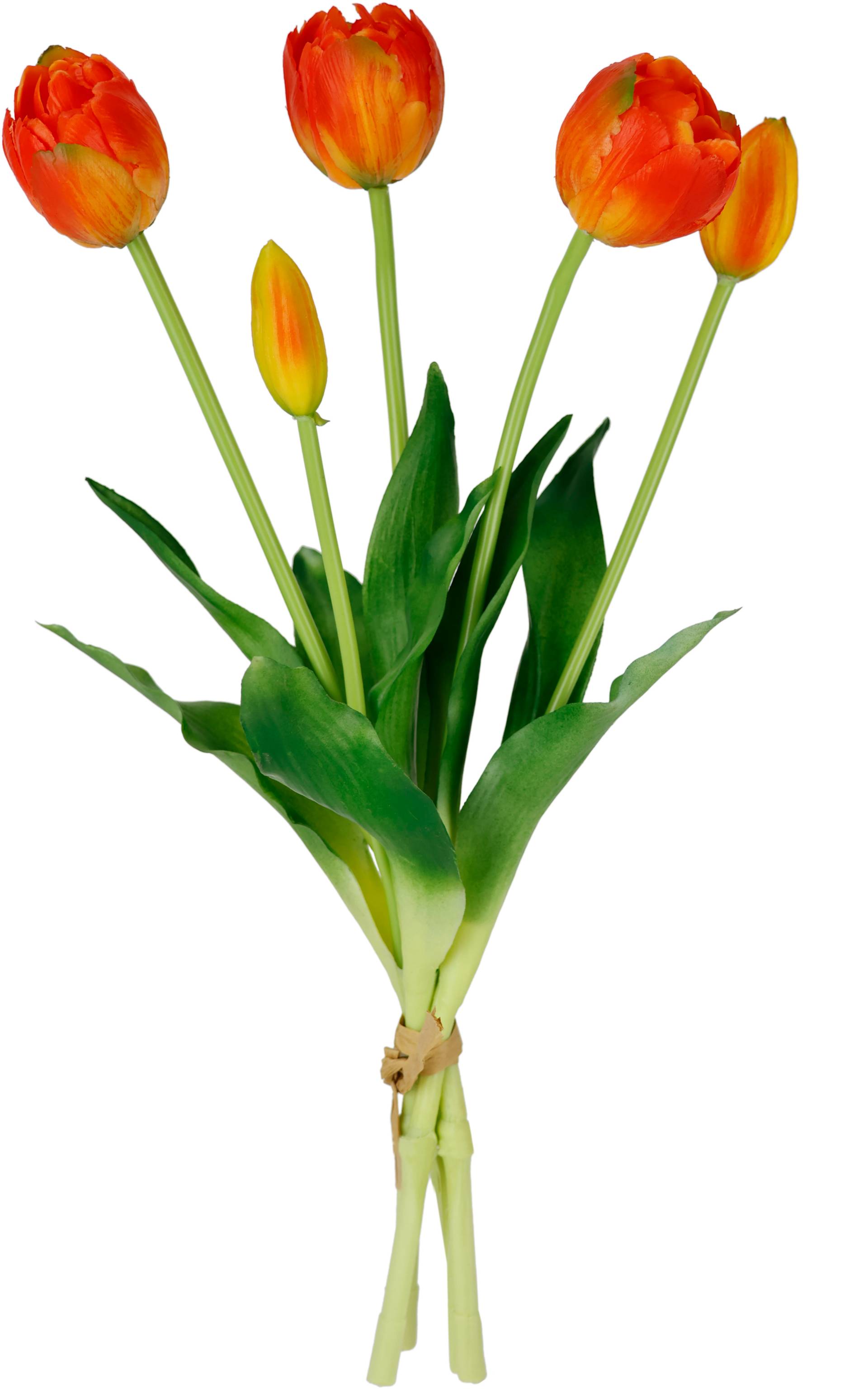 I.GE.A. Kunstblume »Tulpen« von I.GE.A.