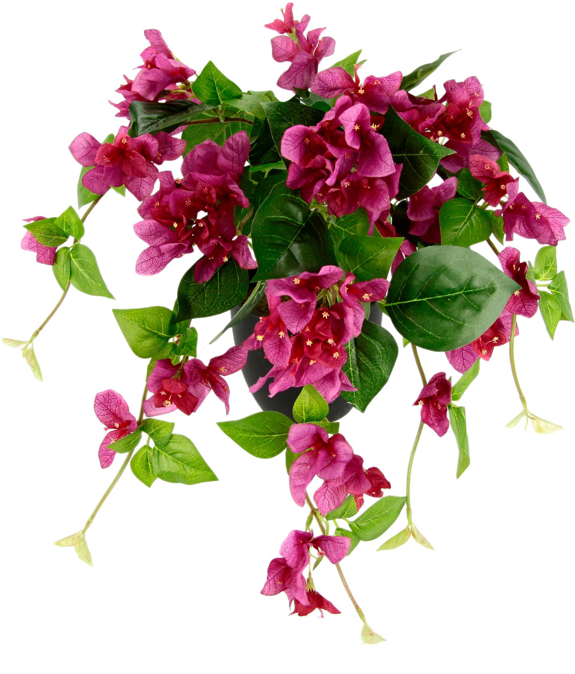 I.GE.A. Kunstpflanze »Bougainvillea« von I.GE.A.