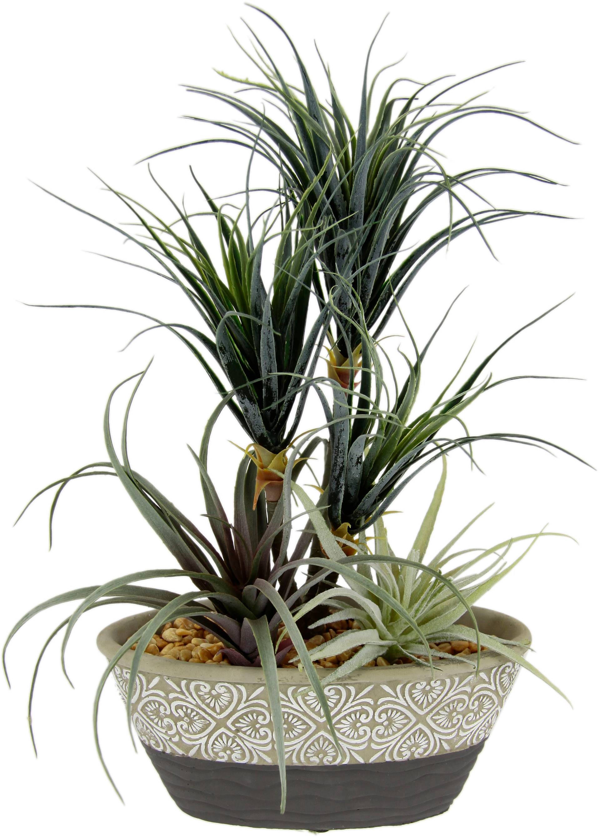 I.GE.A. Kunstpflanze »Dracena/Tillandsia« von I.GE.A.