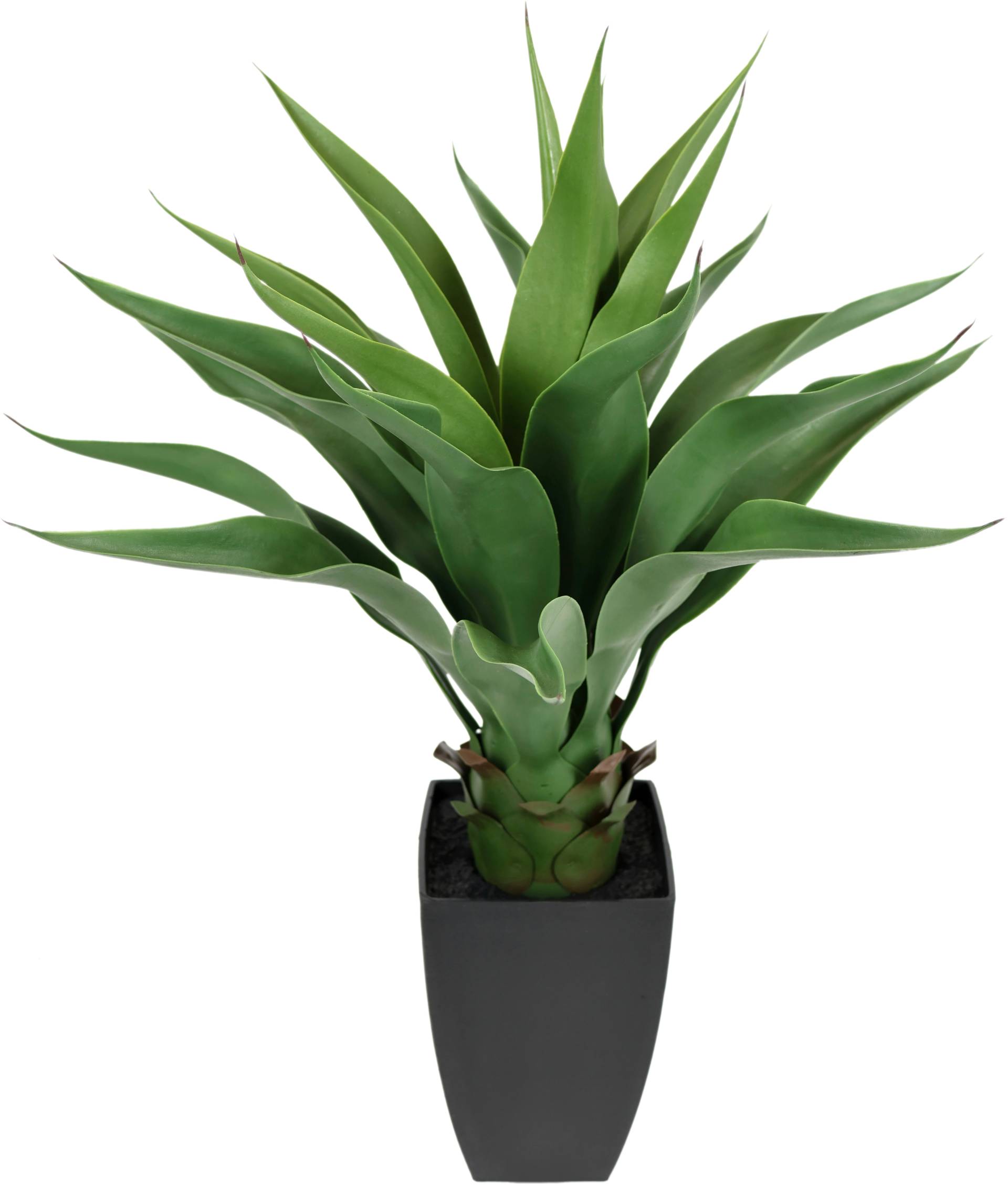 I.GE.A. Kunstpflanze »Künstliche Agave im Topf Pflanze Aloe Vera Sansevieria« von I.GE.A.