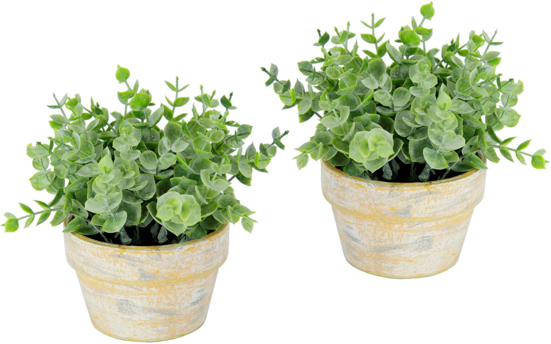I.GE.A. Kunstpflanze »Künstlicher Eukalyptus im Topf 2er Set Pflanze«, Deko Blume für Hochzeit Plastikpflanze Kräuter Deko-Kräuter I.GE.A. Kunstpflanze »Künstlicher Eukalyptus im Topf 2er Set Pflanze«, Deko Blume für Hochzeit Plastikpflanze Kräuter Deko-Kräuter von I.GE.A.