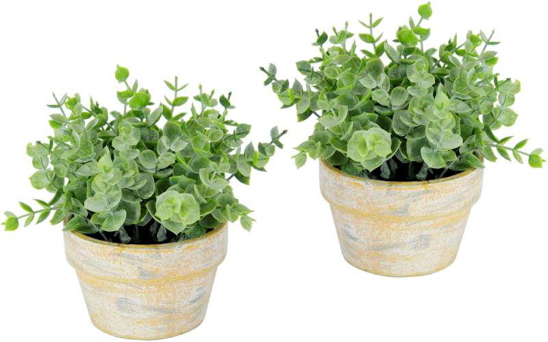 I.GE.A. Kunstpflanze »Künstlicher Eukalyptus im Topf 2er Set Pflanze«, Deko Blume für Hochzeit Plastikpflanze Kräuter Deko-Kräuter von I.GE.A.