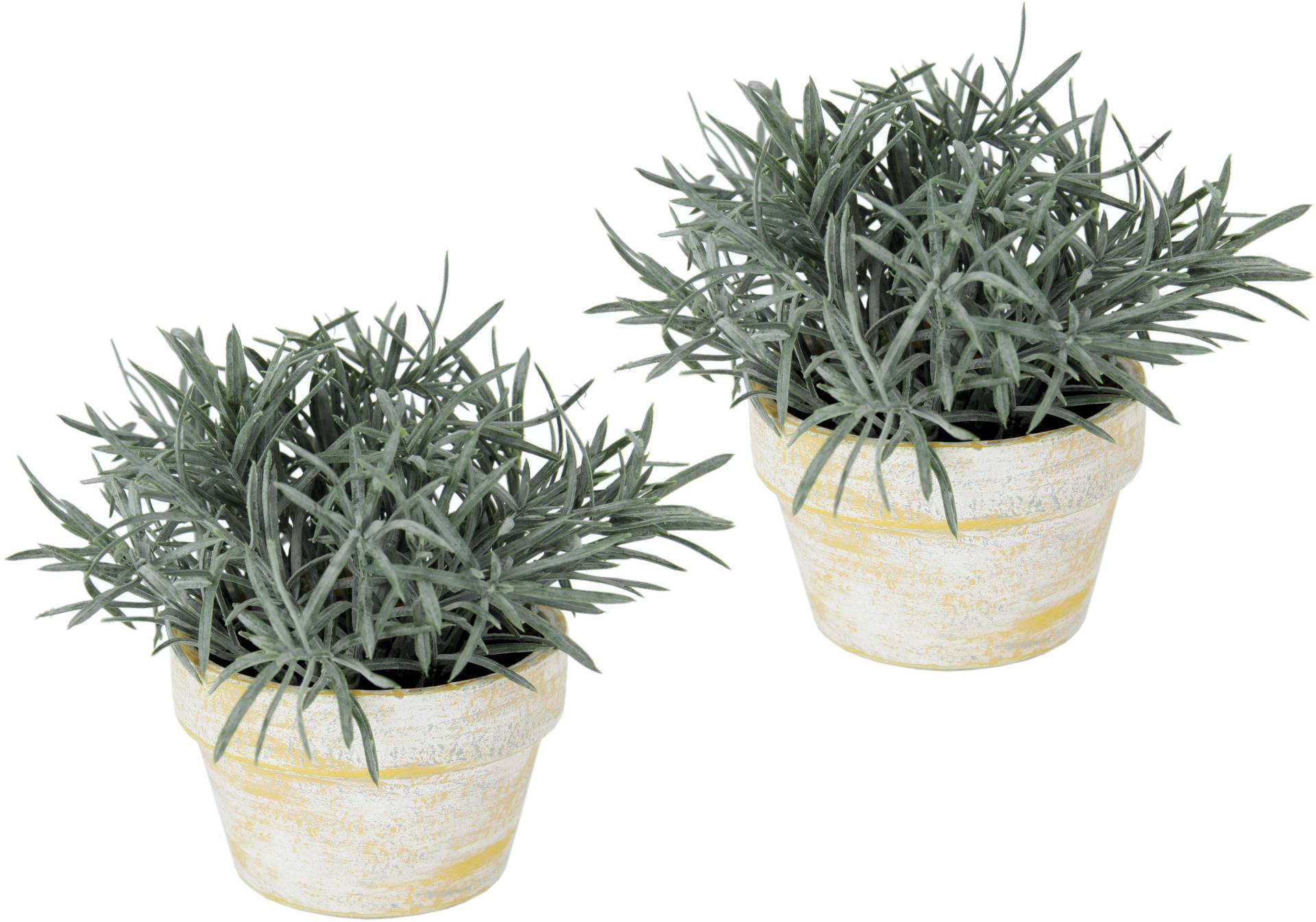 I.GE.A. Kunstpflanze »Künstlicher Podocarpus im Topf 2er Set«, Deko Blume für Hochzeit Plastikpflanze Kräuter Deko-Kräuter I.GE.A. Kunstpflanze »Künstlicher Podocarpus im Topf 2er Set«, Deko Blume für Hochzeit Plastikpflanze Kräuter Deko-Kräuter von I.GE.A.