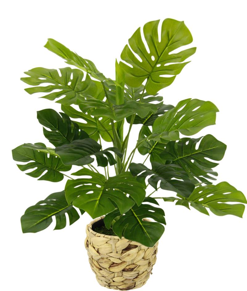 I.GE.A. Kunstpflanze »Monstera«, Mit Übertopf künstlicheSplitphilo-Pflanze von I.GE.A.