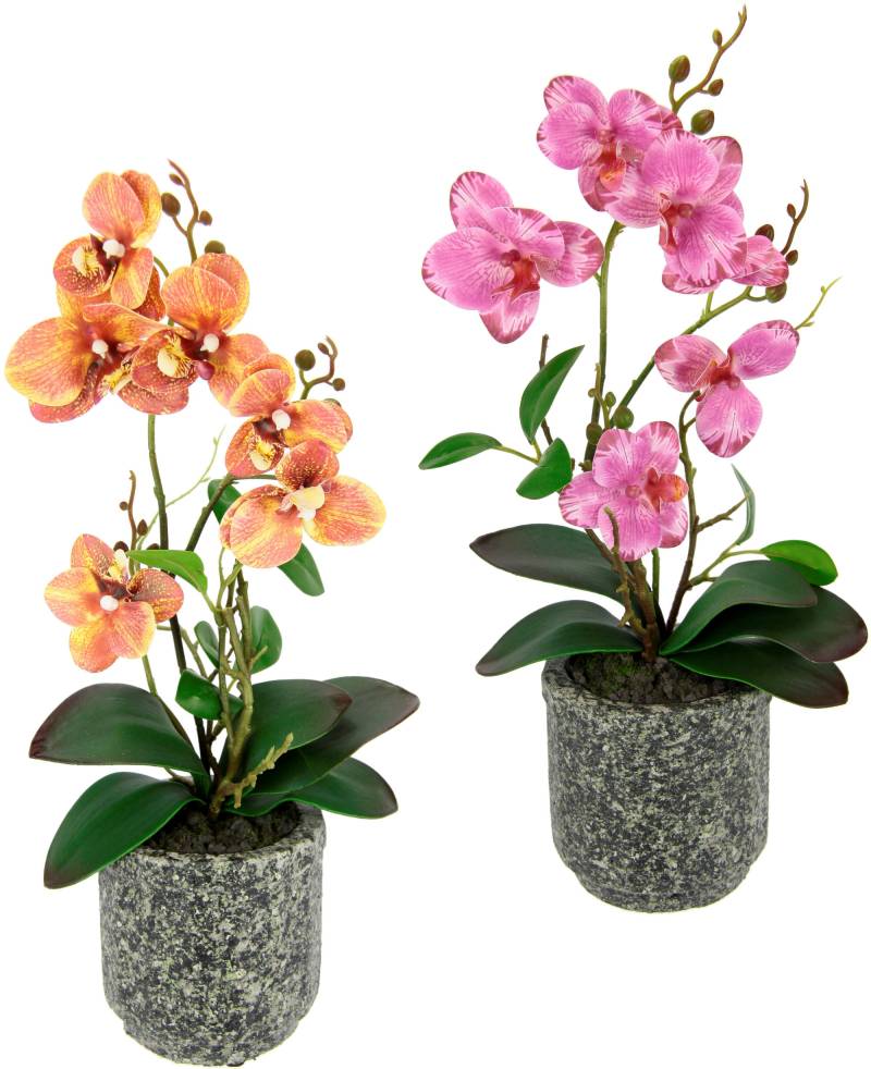 I.GE.A. Kunstpflanze »Orchidee«, Mit Blättern und Luftwurzeln, im Topf aus Keramik, 2er Set von I.GE.A.