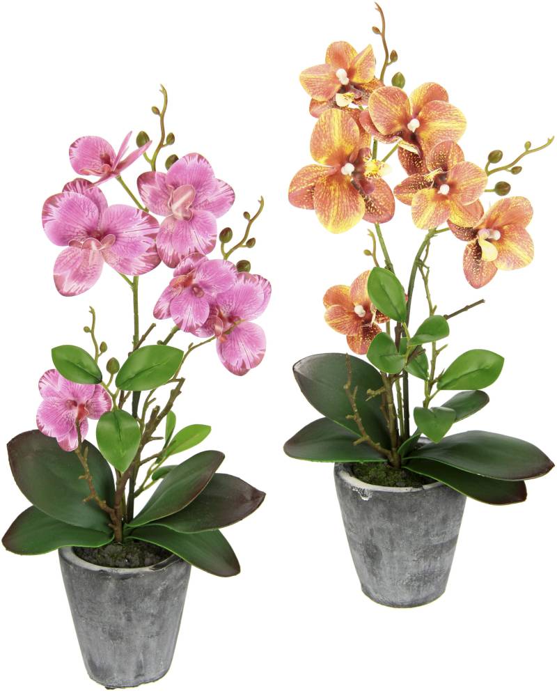 I.GE.A. Kunstpflanze »Orchidee«, Mit Blättern und Luftwurzeln, im Topf aus Keramik, 2er Set von I.GE.A.