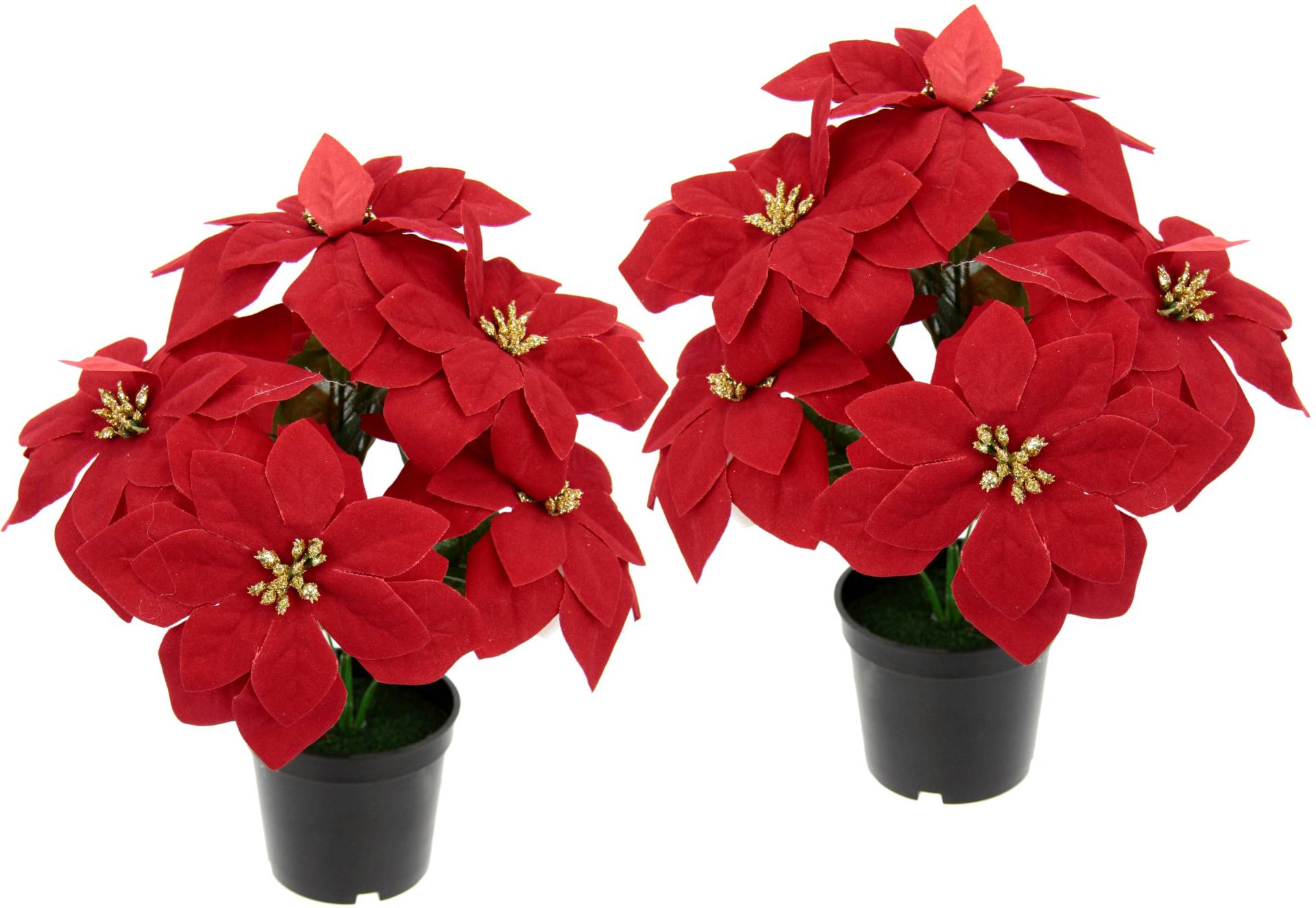 I.GE.A. Kunstpflanze »Poinsettie« von I.GE.A.