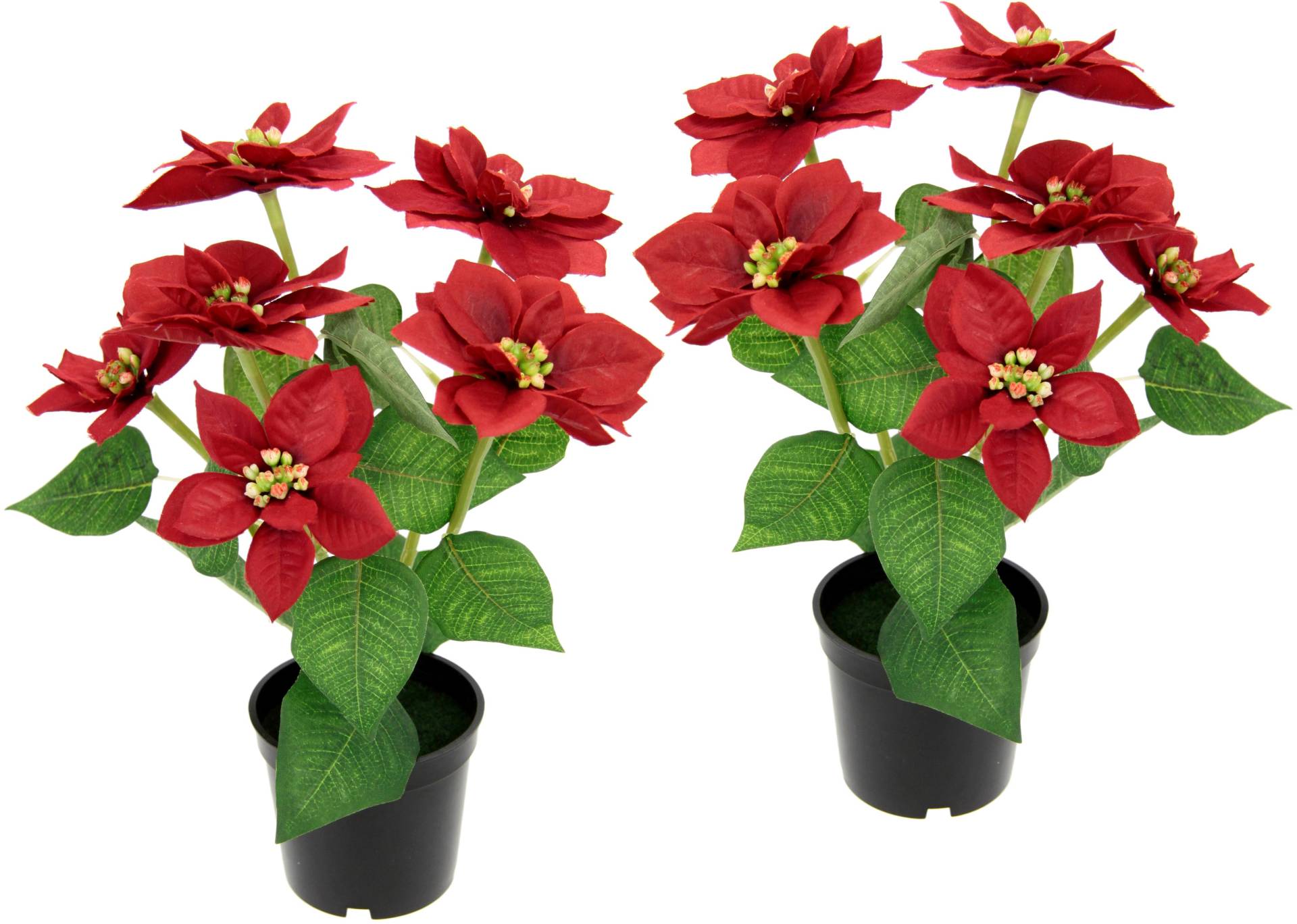 I.GE.A. Kunstpflanze »Poinsettie« von I.GE.A.