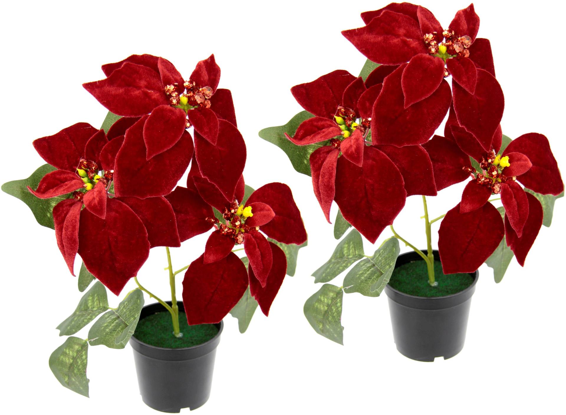 I.GE.A. Kunstpflanze »Samt-Poinsettie«, im Topf, 2er Set I.GE.A. Kunstpflanze »Samt-Poinsettie«, im Topf, 2er Set von I.GE.A.