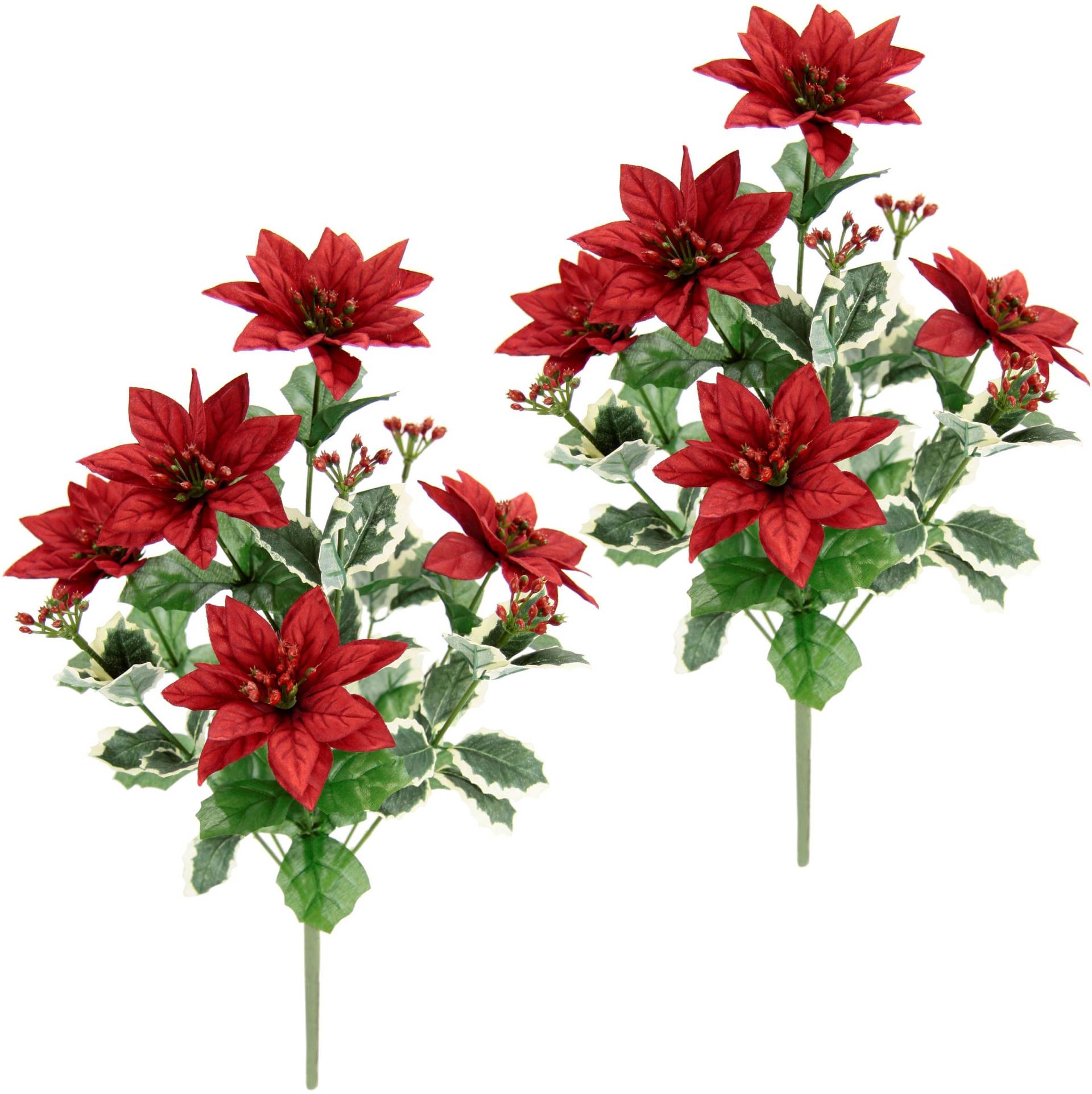 I.GE.A. Winterliche Kunstpflanze »Kunstblume, Poinsettiabusch, Weihnachtsstern, Weihnachtsdeko,«, Kunstblumenstrauss mit Poinsettia im 2er Set I.GE.A. Winterliche Kunstpflanze »Kunstblume, Poinsettiabusch, Weihnachtsstern, Weihnachtsdeko,«, Kunstblumenstrauss mit Poinsettia im 2er Set von I.GE.A.